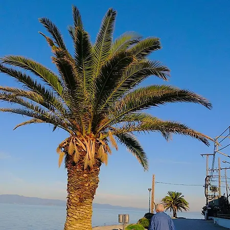 Mermaid Chalkidiki פוליכרונו