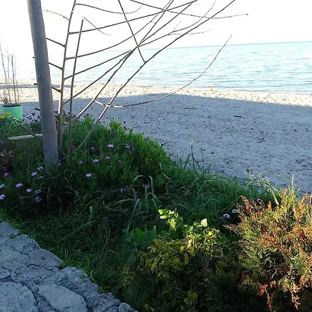 Mermaid Chalkidiki דירה *