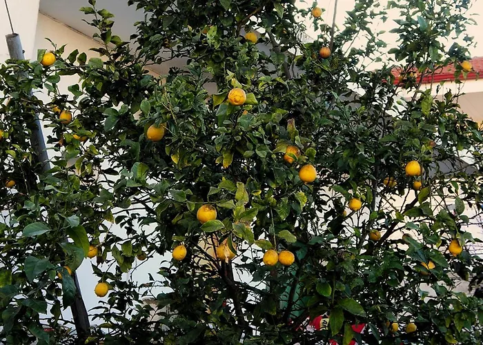 Mermaid Chalkidiki *