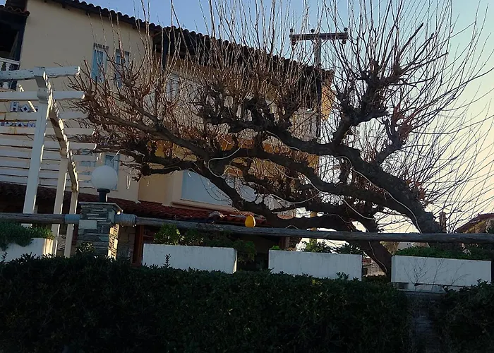 Mermaid Chalkidiki Apartament *