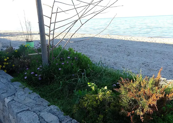 Mermaid Chalkidiki Apartament *