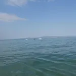 Mermaid Chalkidiki