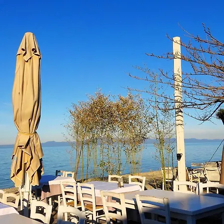 Mermaid Chalkidiki アパート