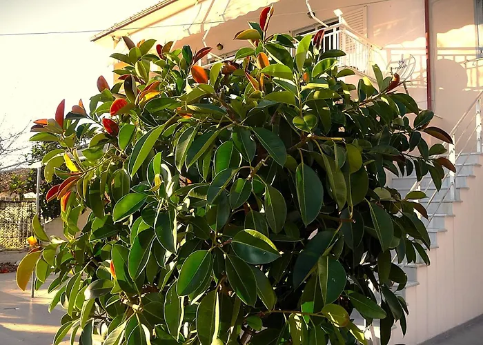 Mermaid Chalkidiki דירה *